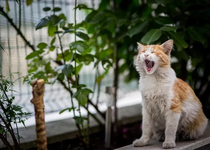 מלון Budapest - Free Parking סופיה